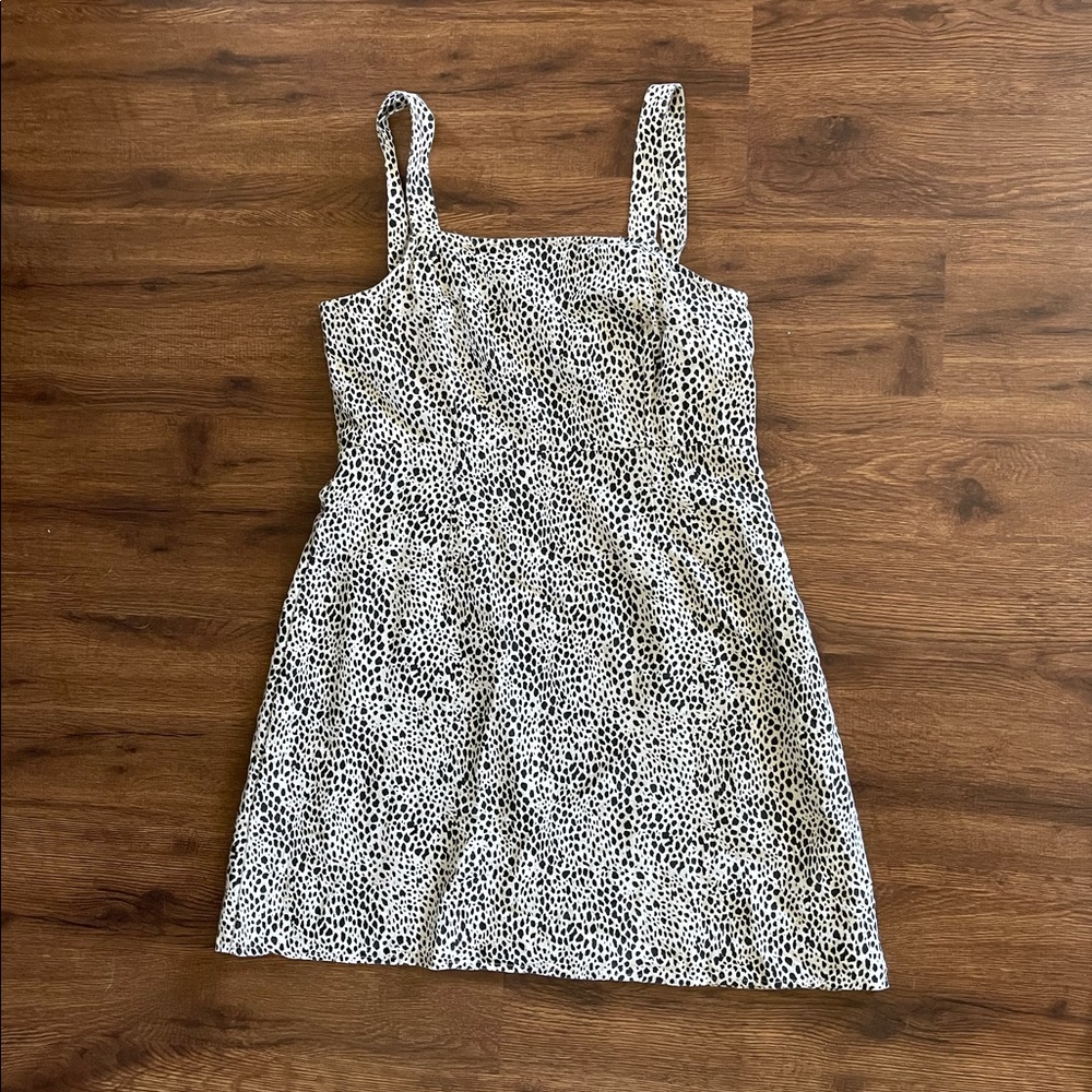 AE Leopard Dress
